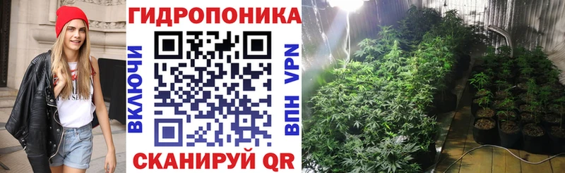 Марихуана план  Купить где  Сокол 